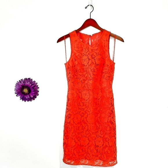 J. Crew Dresses & Skirts - J. Crew Lace Sheath Poppy Dress Style A8182